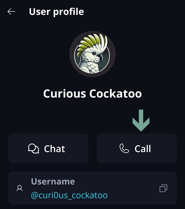 Voice calls π To start a direct call, you need to have a DM with a peer, and then you can just tap the call button on theβ¦.
